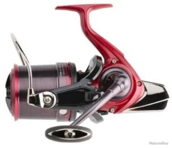 Moulinet Daiwa Emblem 45 SCW QD Type-R 