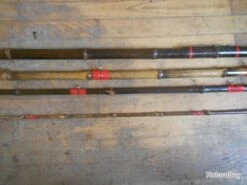 CANNE EN BAMBOU -Shakespeare Boutique 00003 CANNE EN BAMBOU